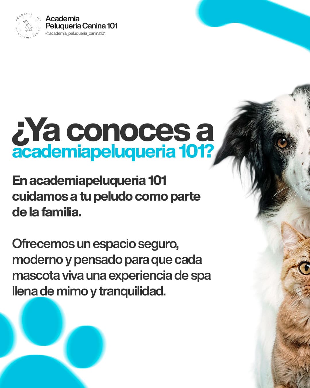 Carrusel: ¿Ya conoces a academiapeluqueria 101?