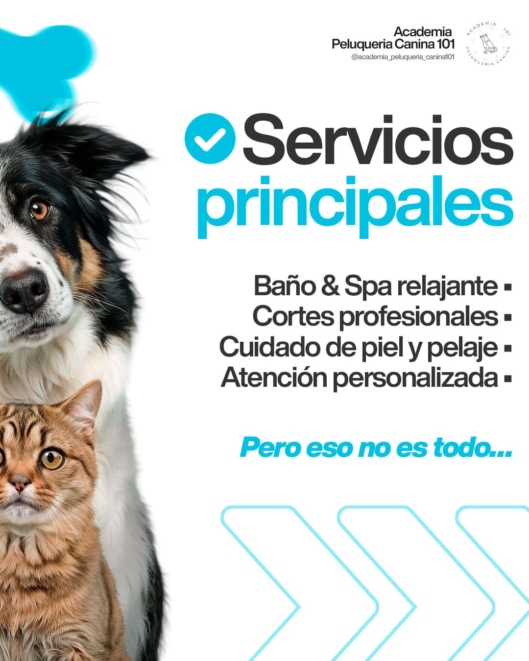 Carrusel: Servicios principales