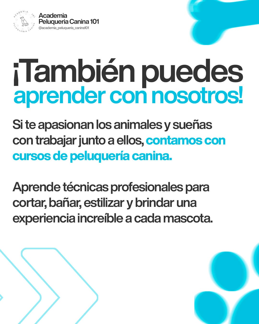 Carrusel: ¡También puedes aprender con nosotros!
