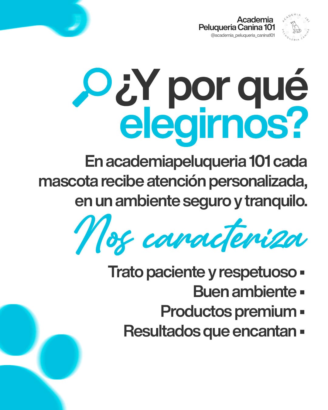 Carrusel: ¿Y por qué elegirnos?