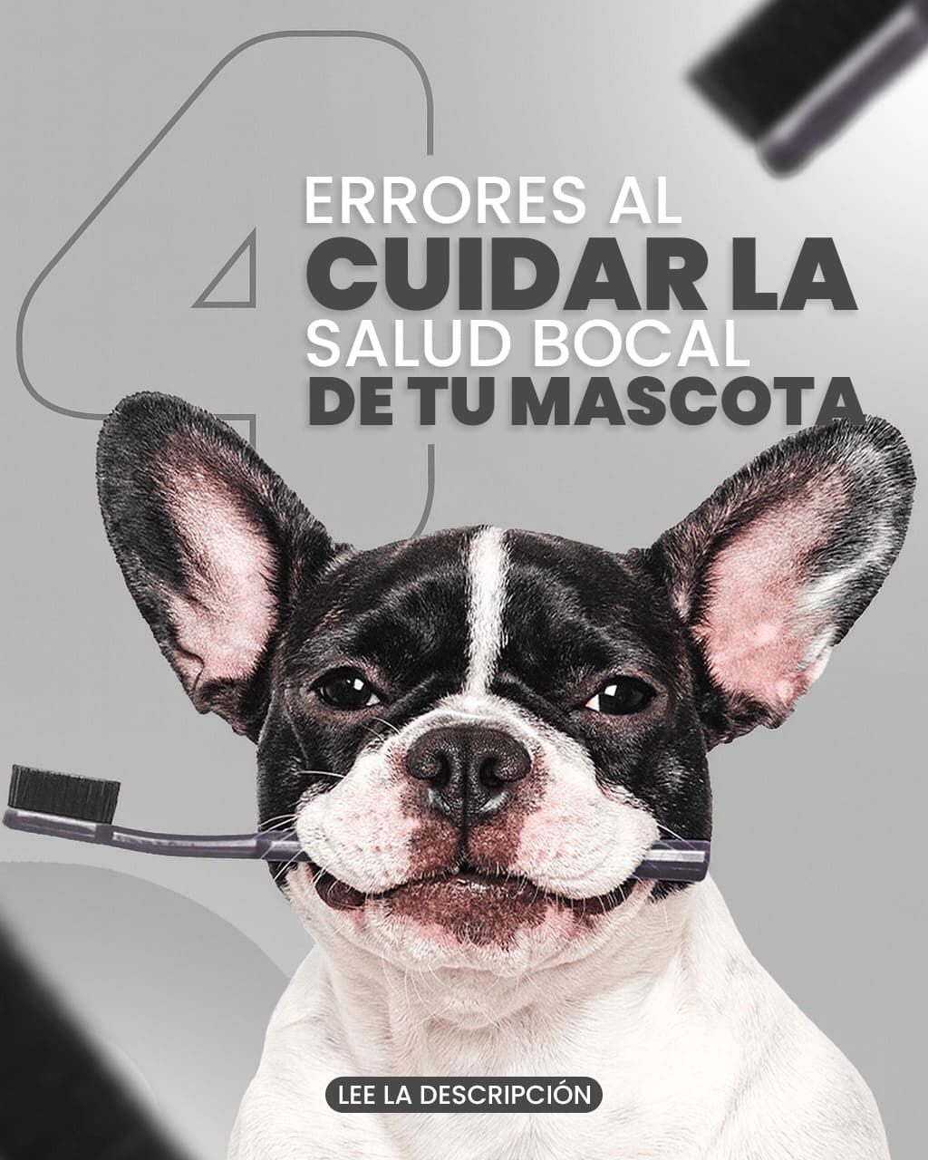 4 errores al cuidar la salud bocal de tu mascota