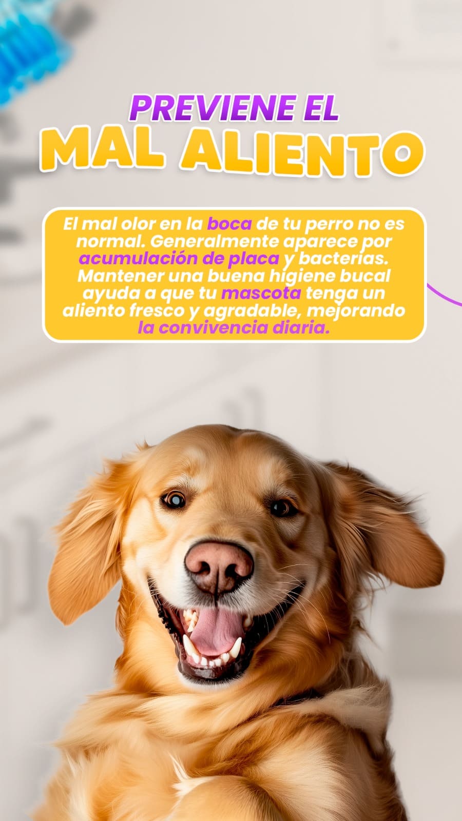 Demuéstrales tu amor con estilo