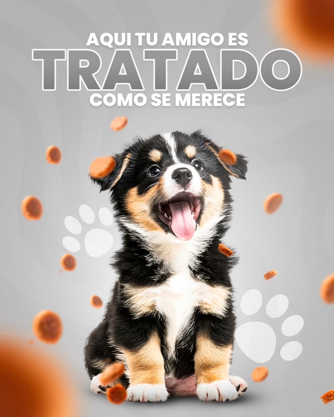 Aquí tu amigo es tratado como se merece