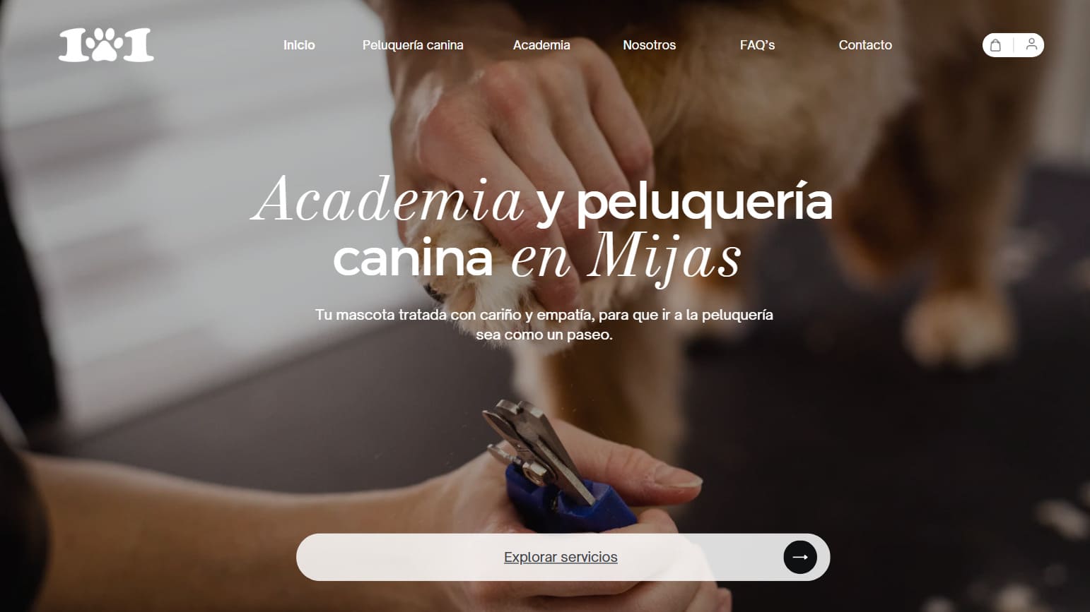 Web: Academia y Peluquería Canina 101