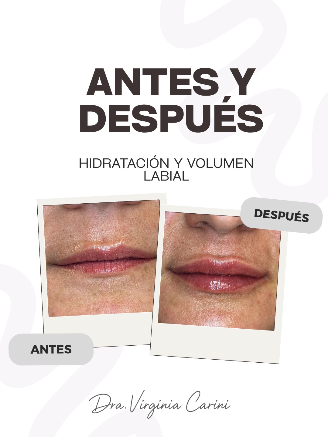 DentalCarini — imagen 2