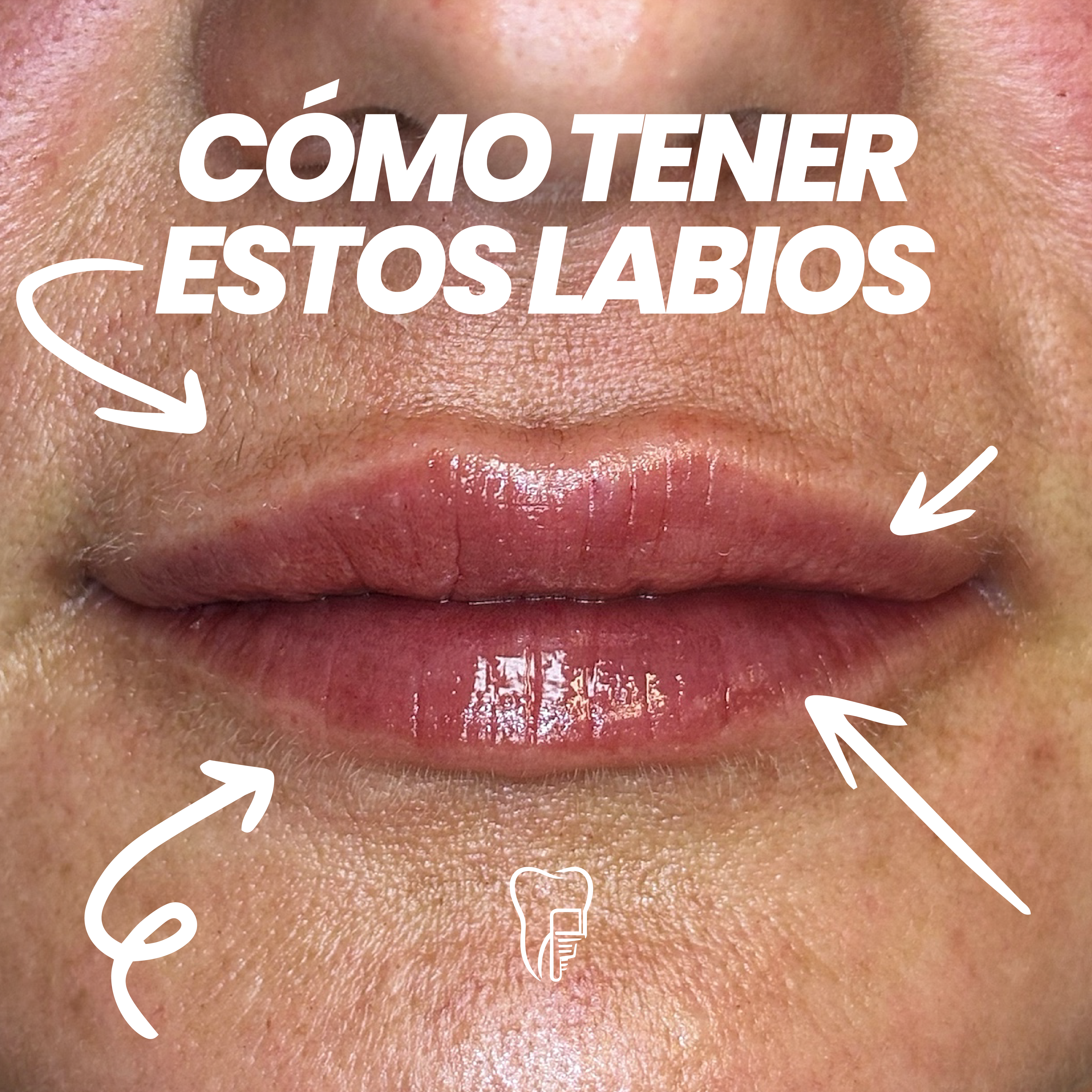 DentalCarini — imagen 3